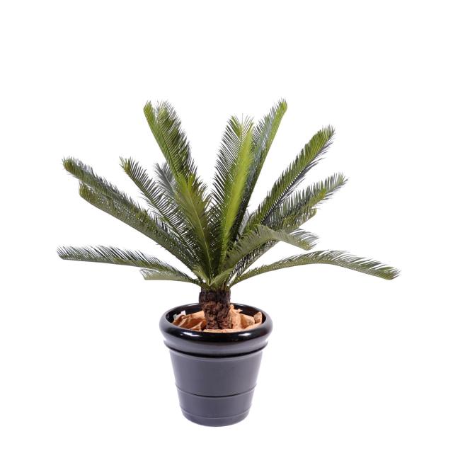 Cycas Artificiel Tronc Fibre de Verre - Cycas Artificiel Tronc